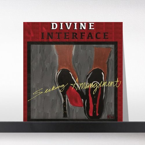 (주)사운드룩, Divine Interface - Seeking Arrangement[LP]