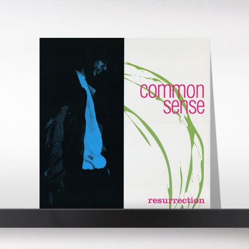 (주)사운드룩, Common - Resurrection[LP]