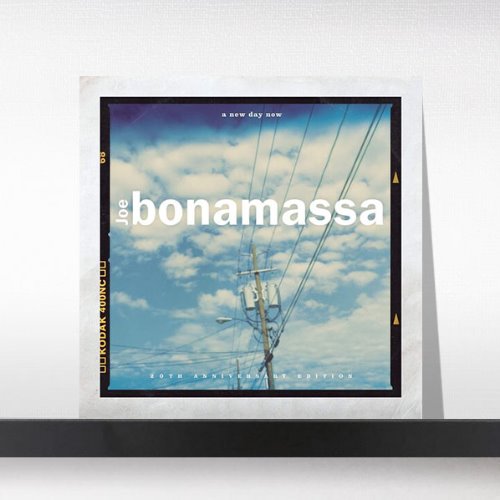 (주)사운드룩, Joe Bonamassa  ‎– A New Day Now(20th Anniversary Edition)[2LP]