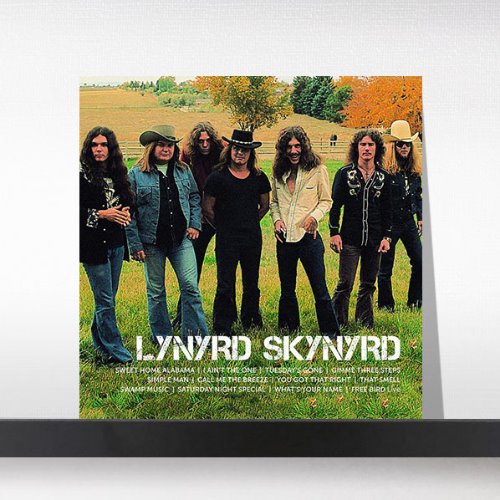 (주)사운드룩, Lynyrd Skynyrd - Icon[2LP]