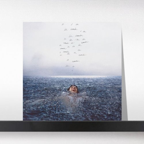 (주)사운드룩, Shawn Mendes(션 멘데스) - Wonder [Limited Gold Colored Vinyl][LP]