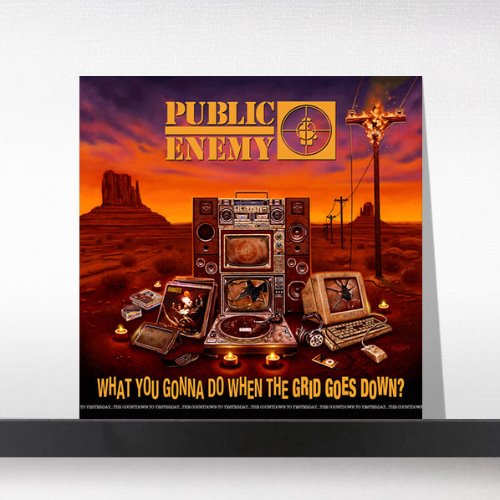 (주)사운드룩, Public Enemy - What You Gonna Do When The Grid Goes Down?[LP]