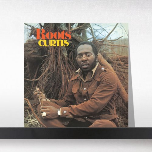 (주)사운드룩, Curtis Mayfield - Roots[LP]