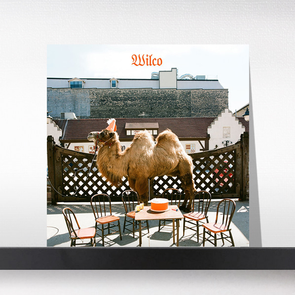 (주)사운드룩, Wilco(윌코) -Wilco(Picture Disc)[LP]