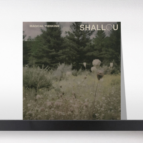 (주)사운드룩, Shallou - Magical Thinking[LP]