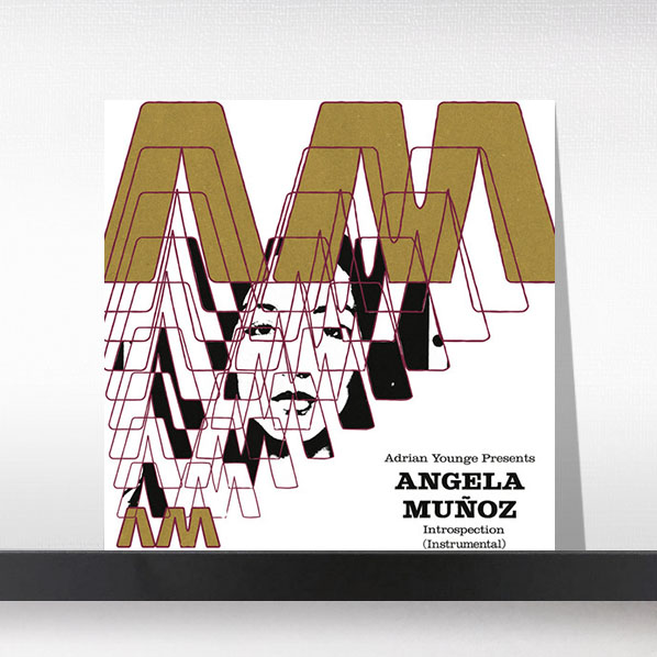 (주)사운드룩, Angela Munoz - Introspection (Instrumentals)[LP]
