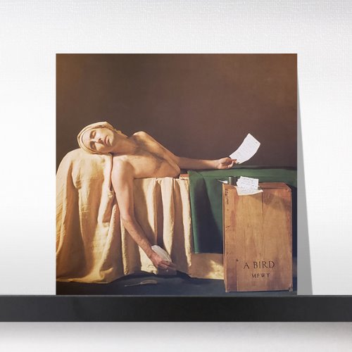 (주)사운드룩, Andrew Bird  ‎– My Finest Work Yet[LP]