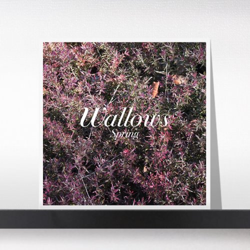 (주)사운드룩, Wallows  ‎– Spring[LP]