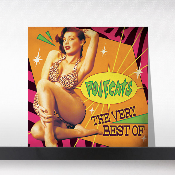 (주)사운드룩, The Polecats - The Very Best Of[LP]